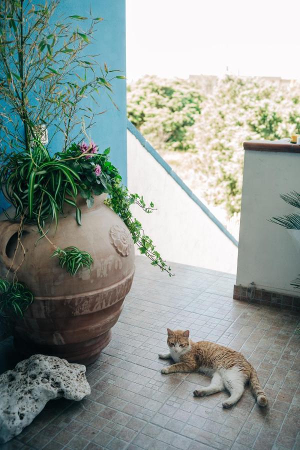 Juniper Bay Bed & Breakfast Portoscuso Ngoại thất bức ảnh